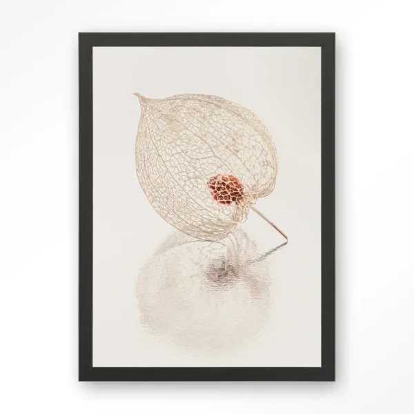 25253-de-reflectie-van-vergankelijkheid-in-lichte-tinten-art-print-wooden-frame-black De Reflectie Van Vergankelijkheid In Lichte Tinten - Art print