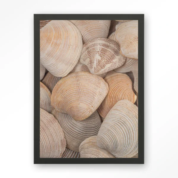 25255-tijdloze-rust-in-een-zee-van-schelpen-art-print-wooden-frame-black Tijdloze Rust: In Een Zee Van Schelpen - Art print