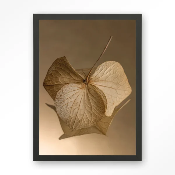 25258-leaf-me-sheltered-art-print-wooden-frame-black Leaf Me: Sheltered - Art print