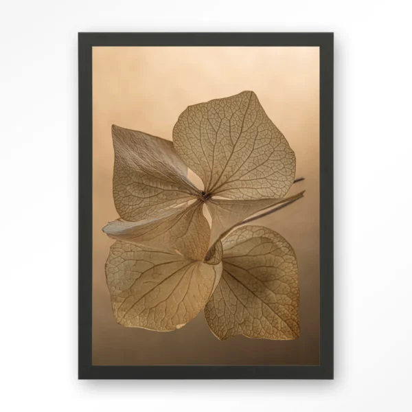 25259-leaf-me-unfolded-art-print-wooden-frame-black Leaf Me: Unfolded - Art print