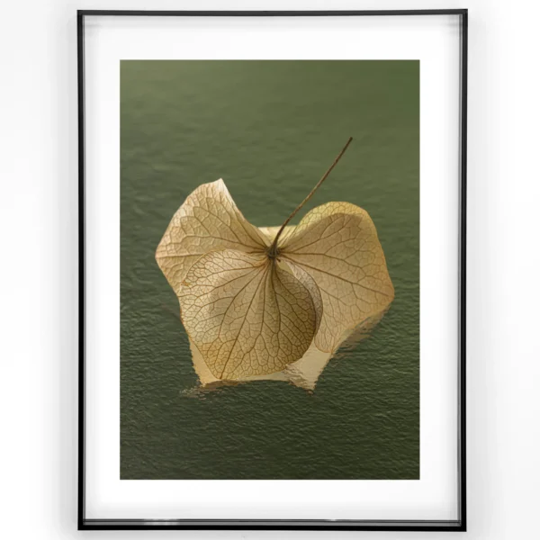 25260-leaf-me-in-the-green-art-print-acrylic-frame-black Leaf Me: In The Green - Art print