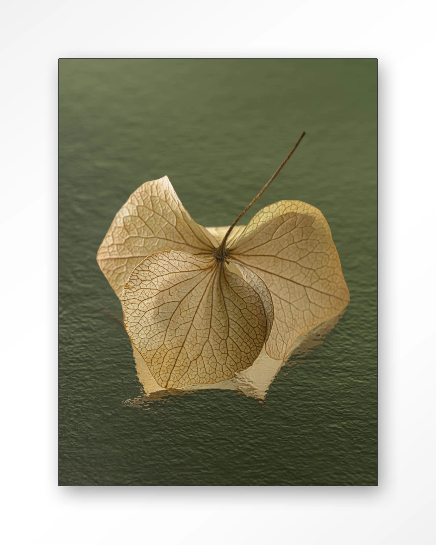 Leaf Me: In The Green - Wandkleed - Afbeelding 6