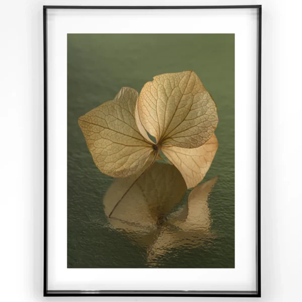 25261-leaf-me-in-reflection-art-print-acrylic-frame-black Leaf Me: In Reflection - Art print