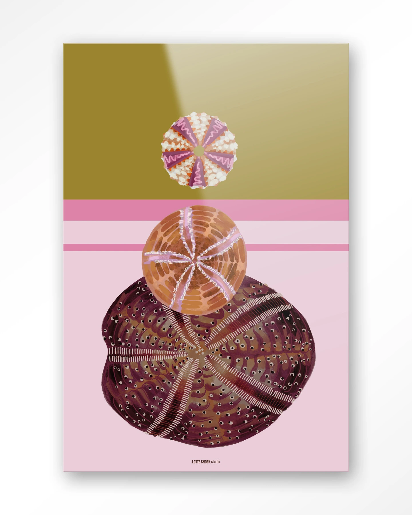 Marinus 3 - Glas - Afbeelding 2