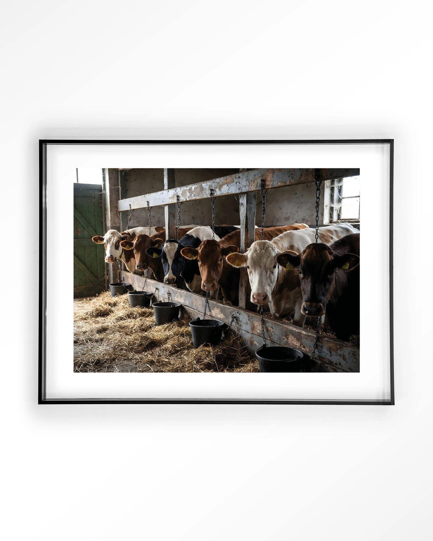 The Cow Barn - Art print - Afbeelding 9