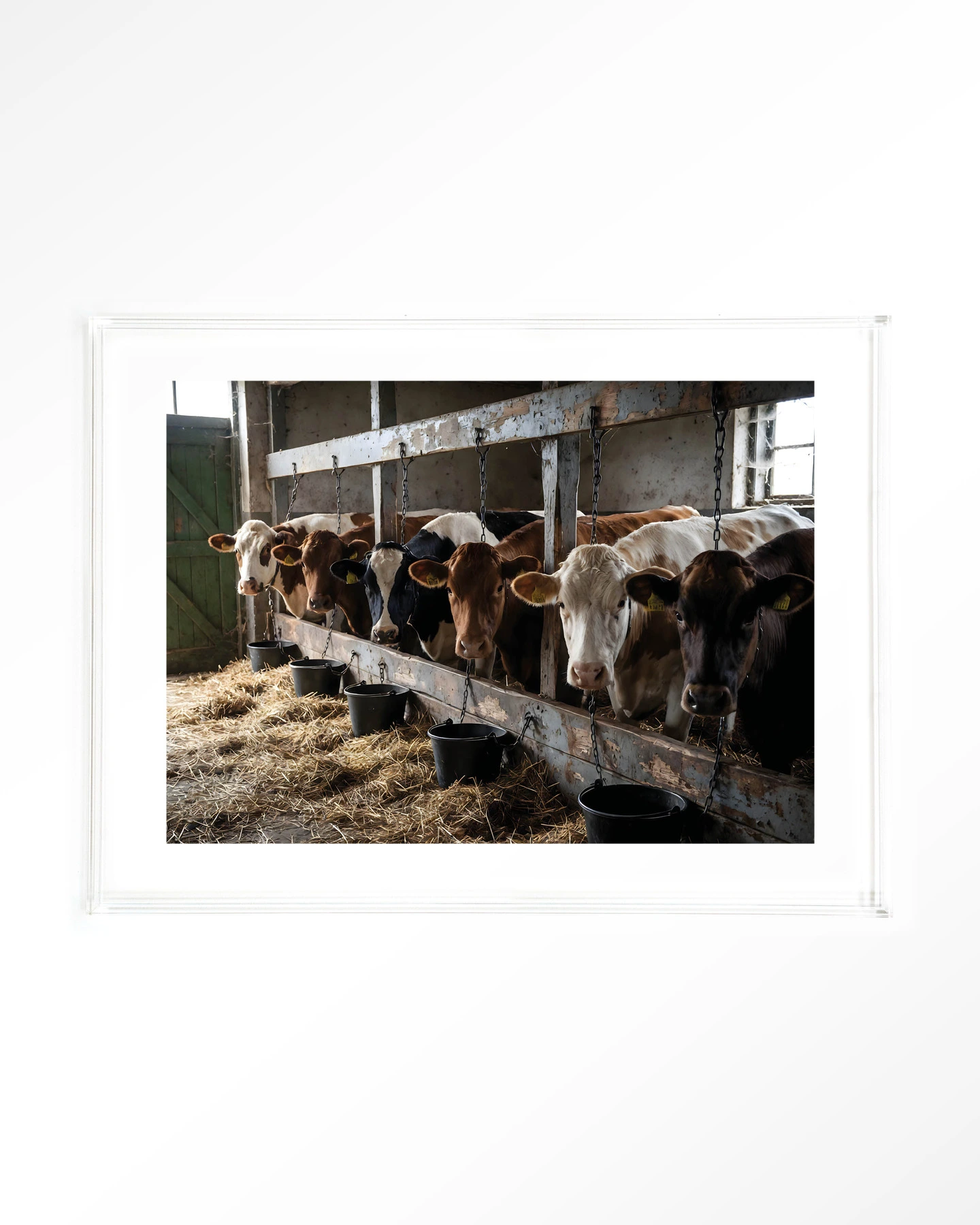 The Cow Barn - Art print - Afbeelding 10