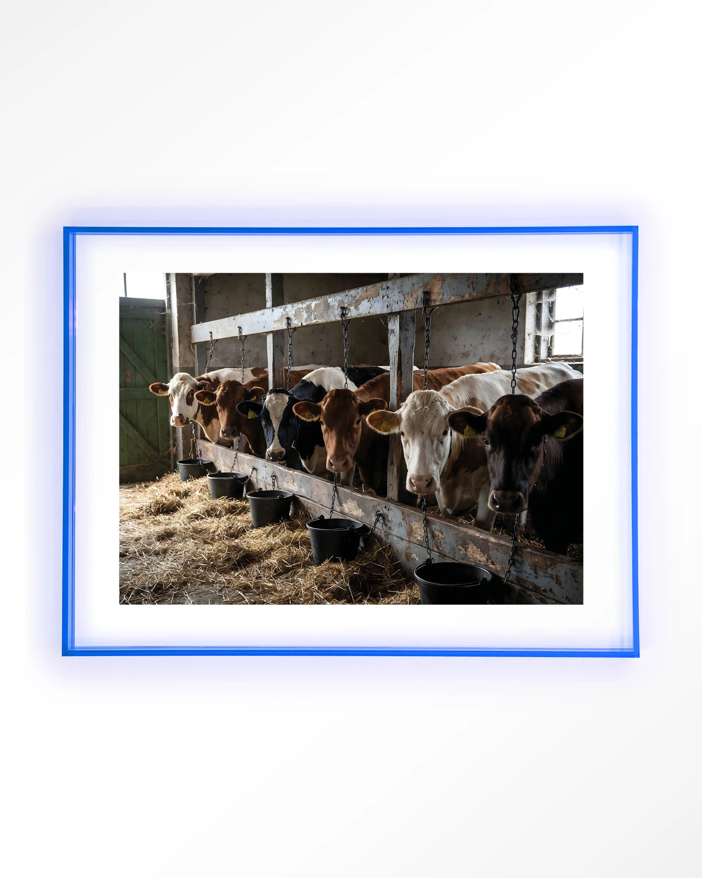 The Cow Barn - Art print - Afbeelding 12