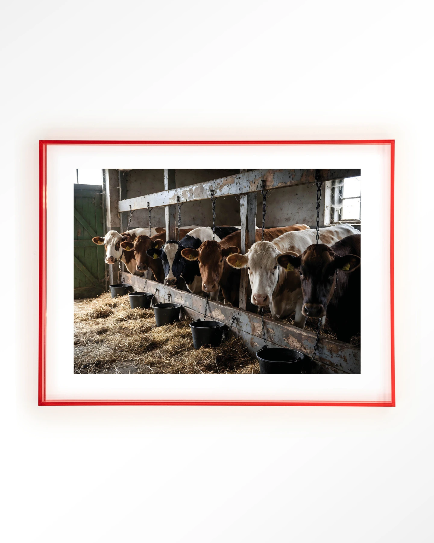 The Cow Barn - Art print - Afbeelding 11