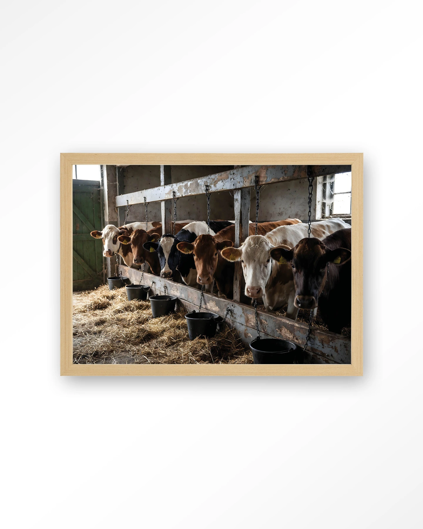 The Cow Barn - Art print - Afbeelding 4