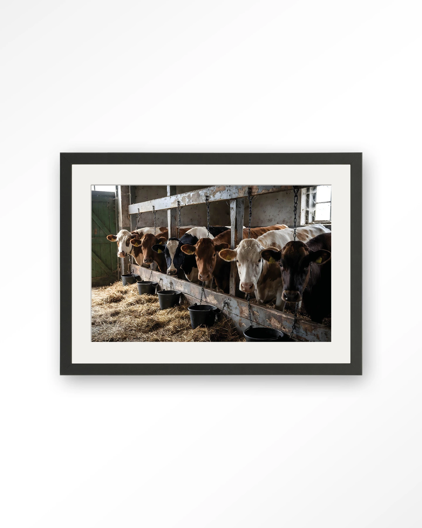 The Cow Barn - Art print - Afbeelding 5
