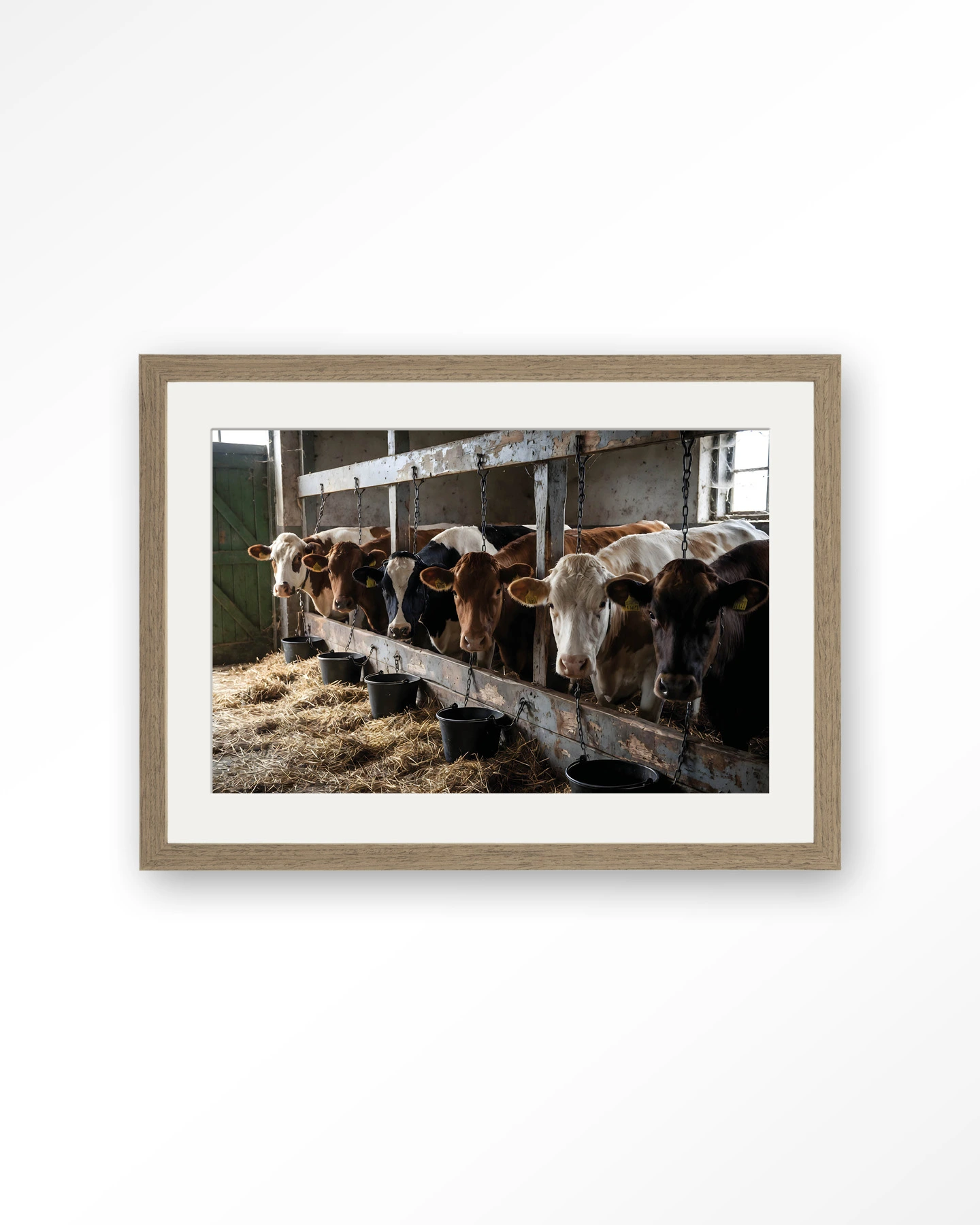 The Cow Barn - Art print - Afbeelding 6