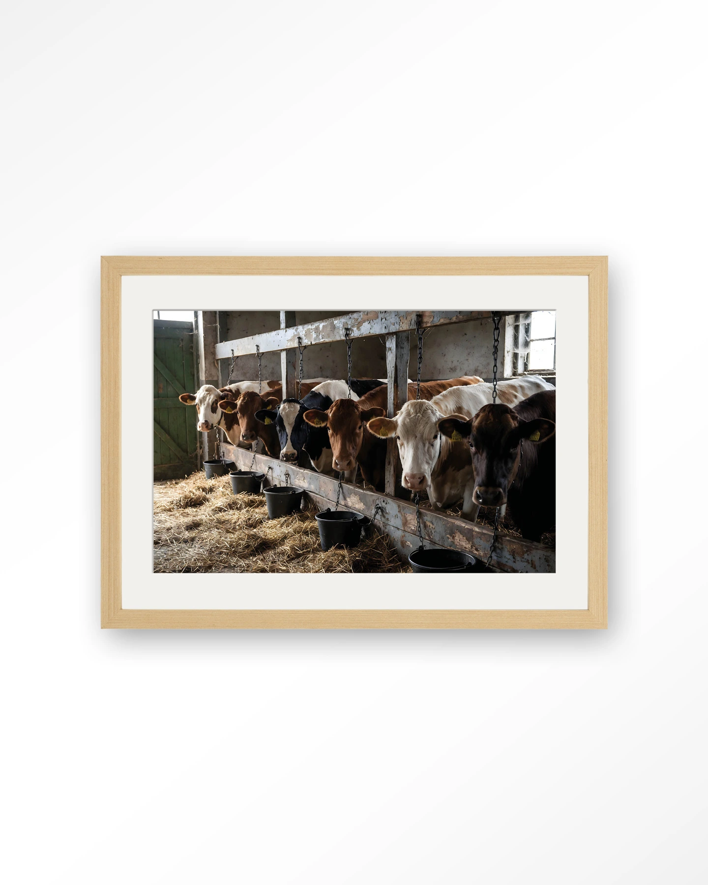 The Cow Barn - Art print - Afbeelding 8