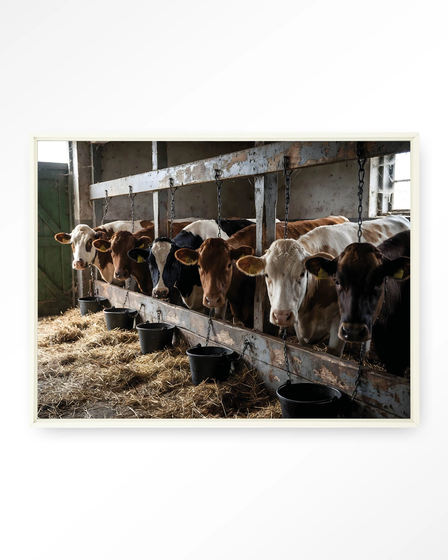 The Cow Barn - Wandkleed - Afbeelding 5