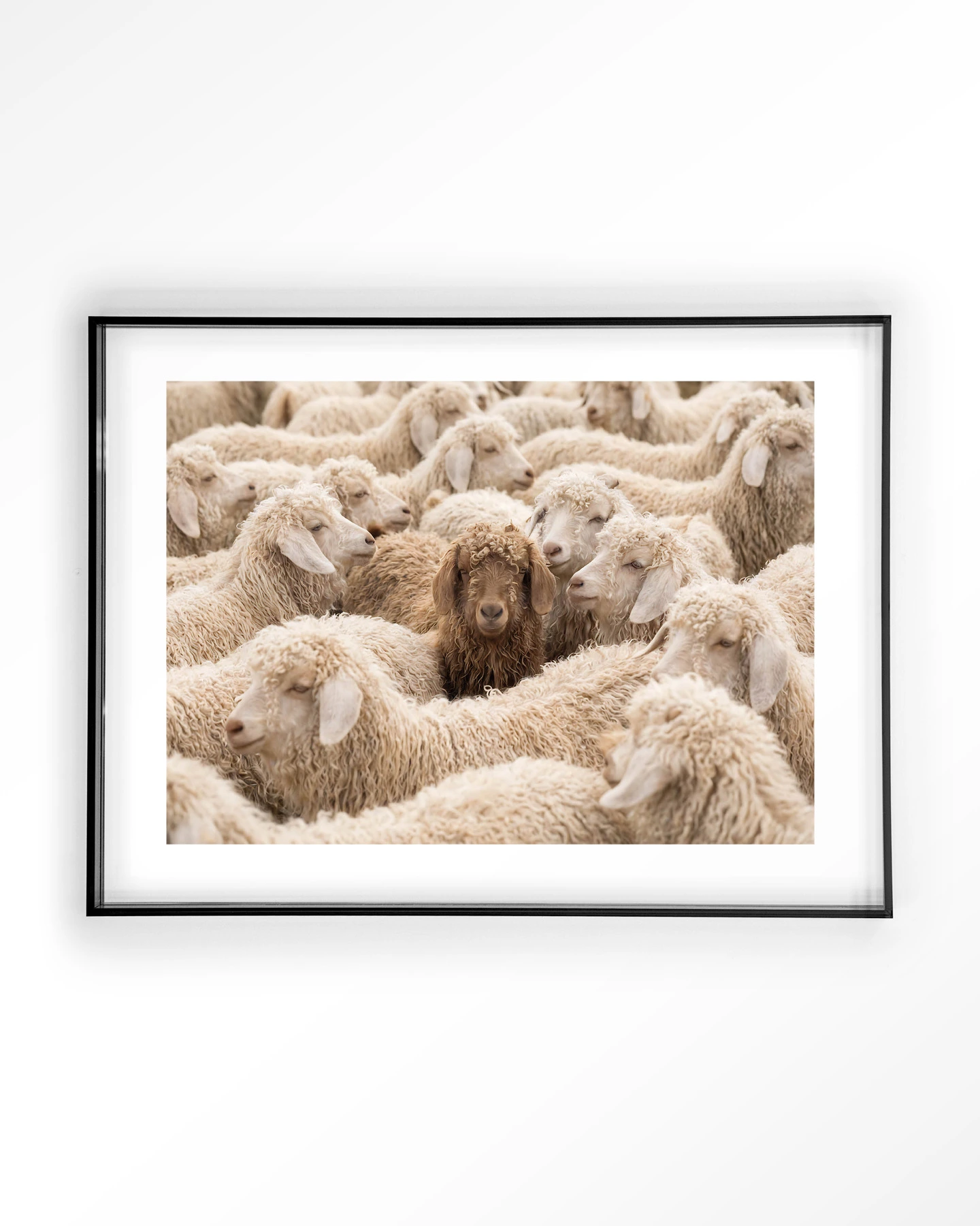 The Herd - Art print - Afbeelding 9