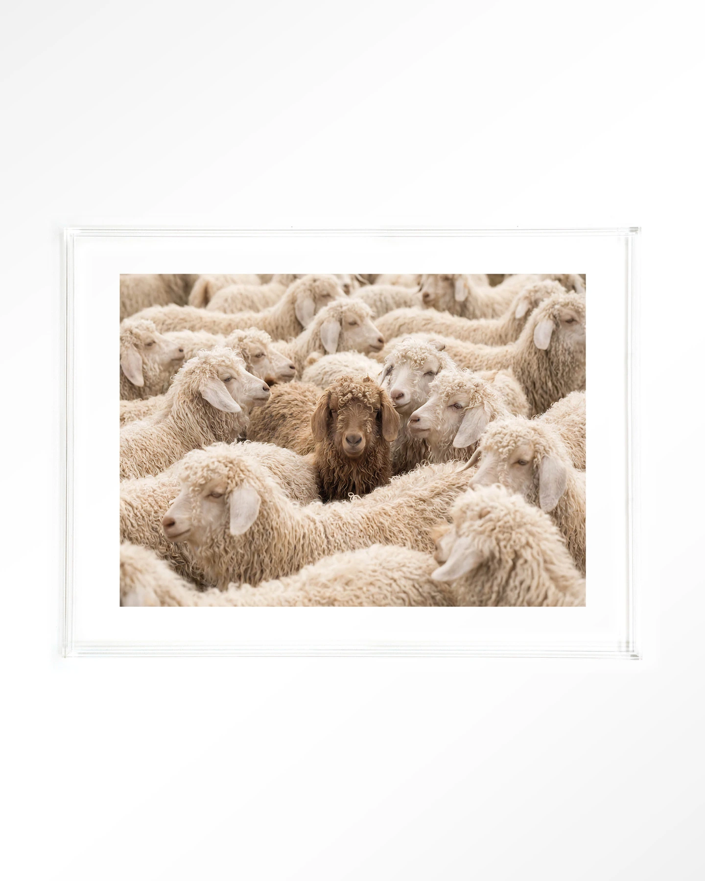 The Herd - Art print - Afbeelding 10