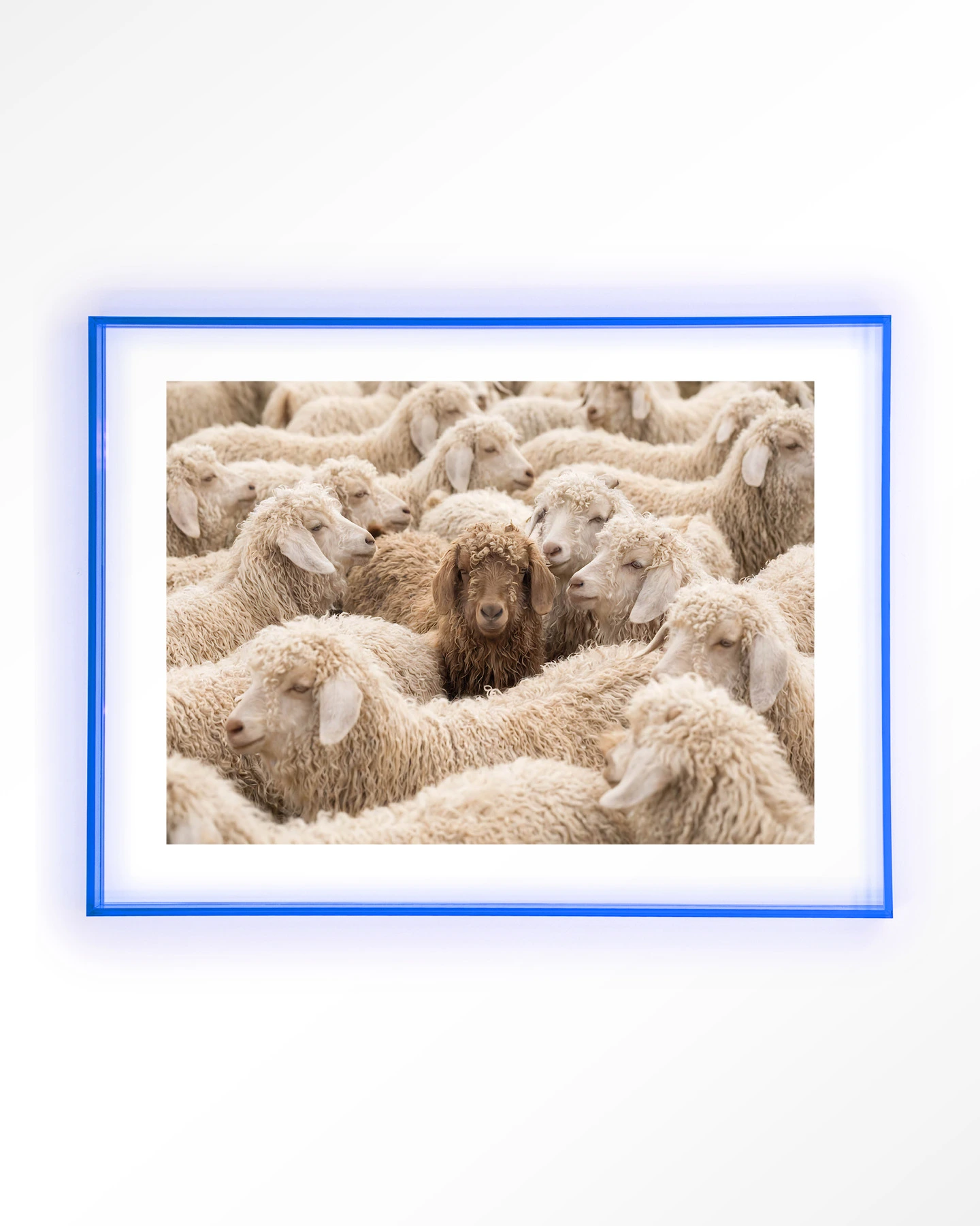 The Herd - Art print - Afbeelding 12