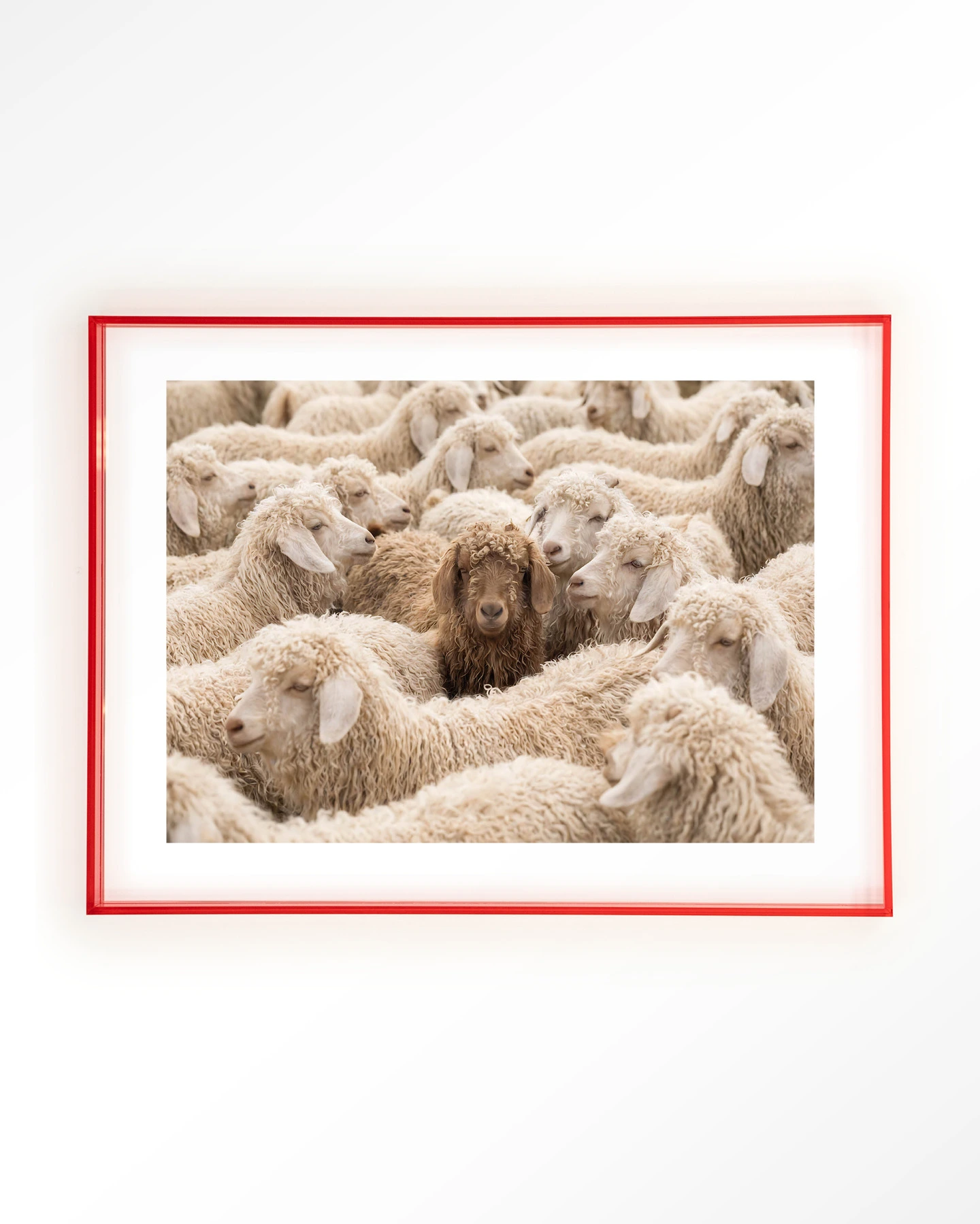 The Herd - Art print - Afbeelding 11