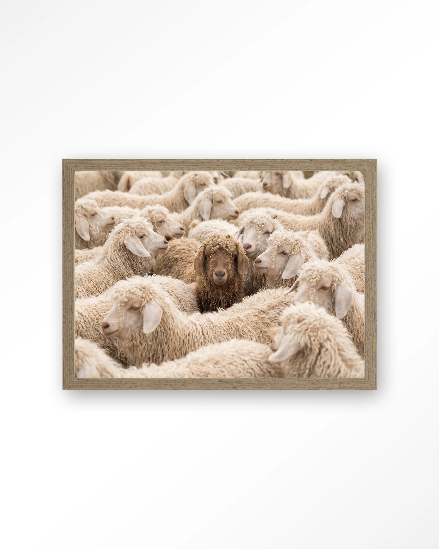 The Herd - Art print - Afbeelding 2