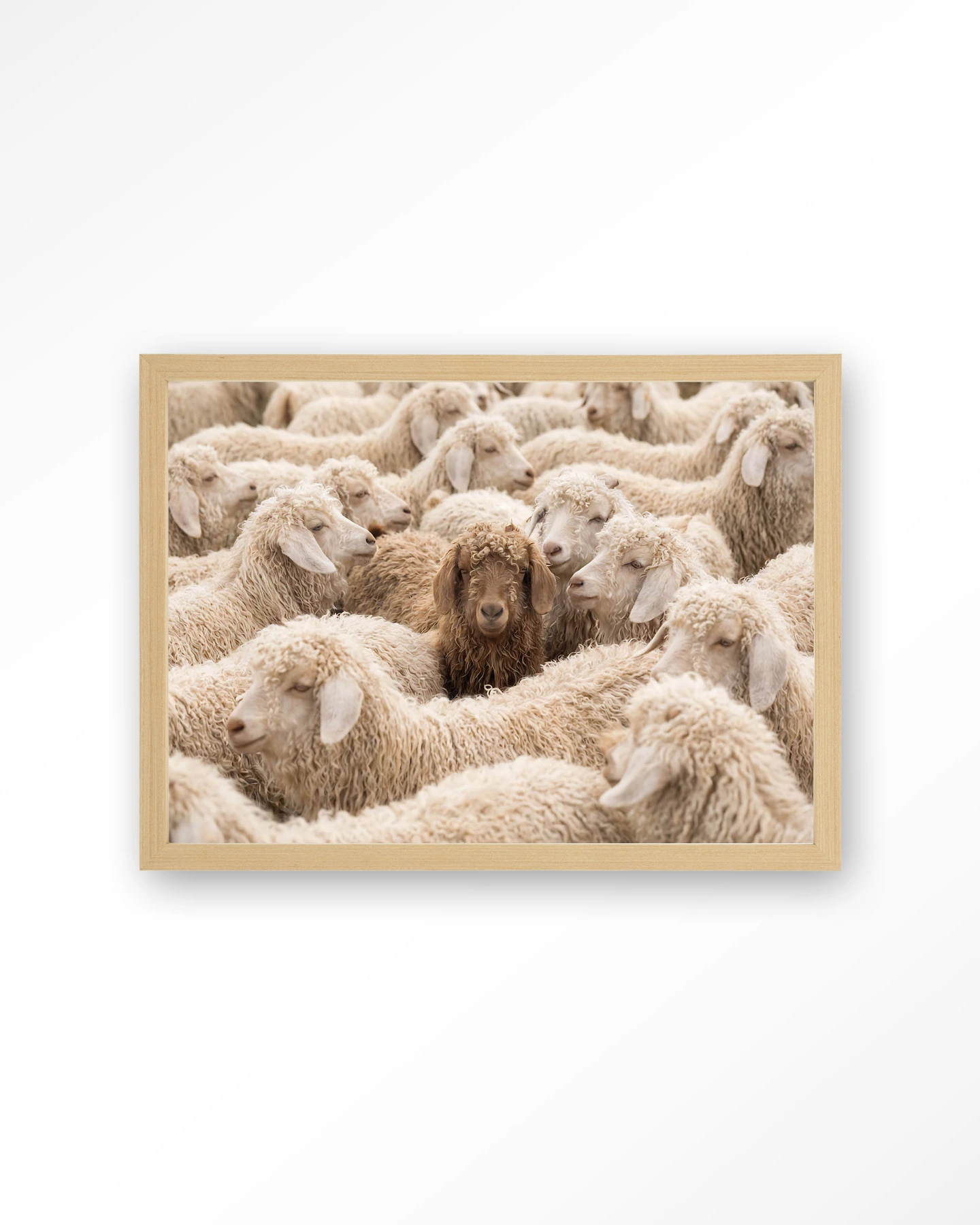 The Herd - Art print - Afbeelding 4