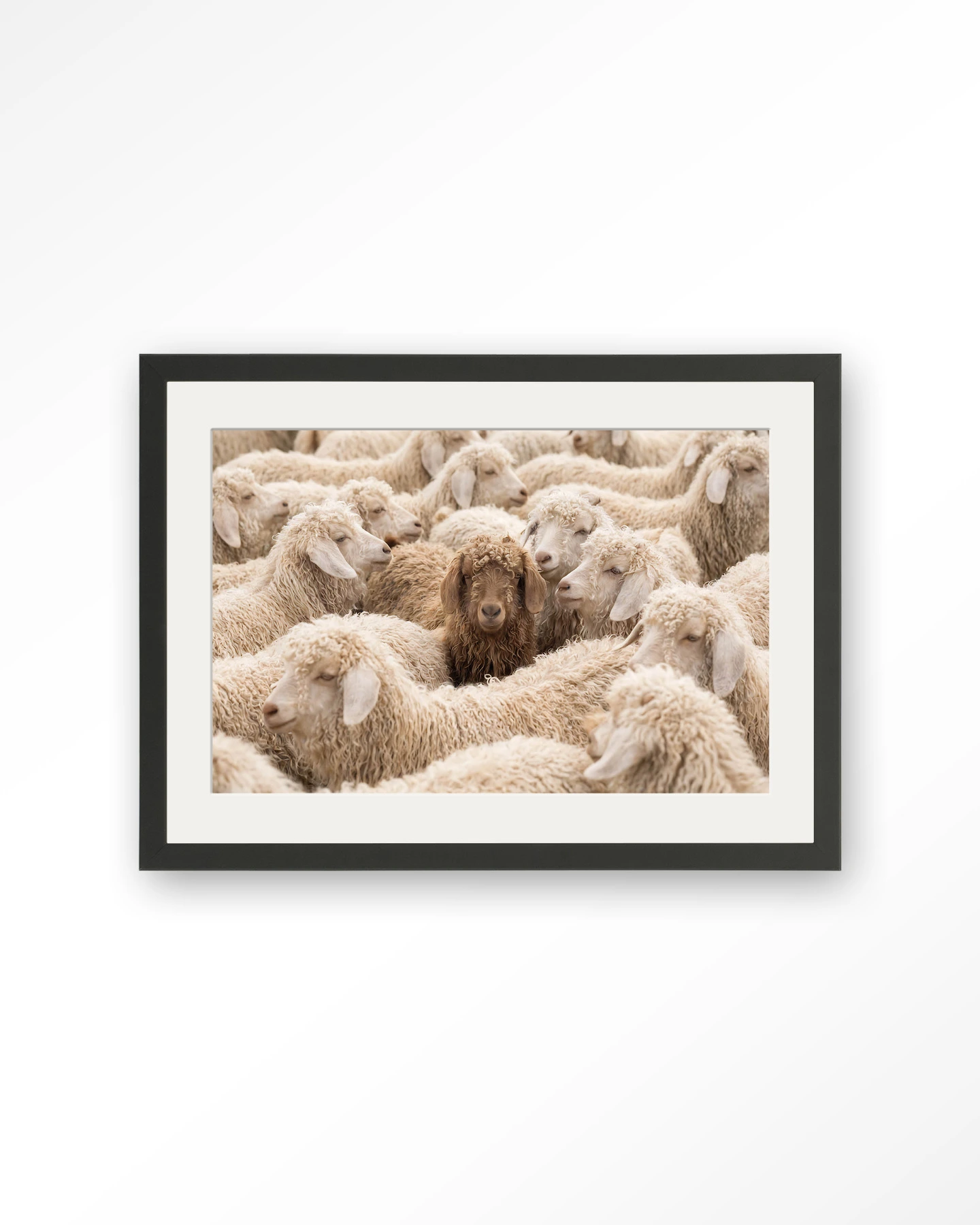 The Herd - Art print - Afbeelding 5