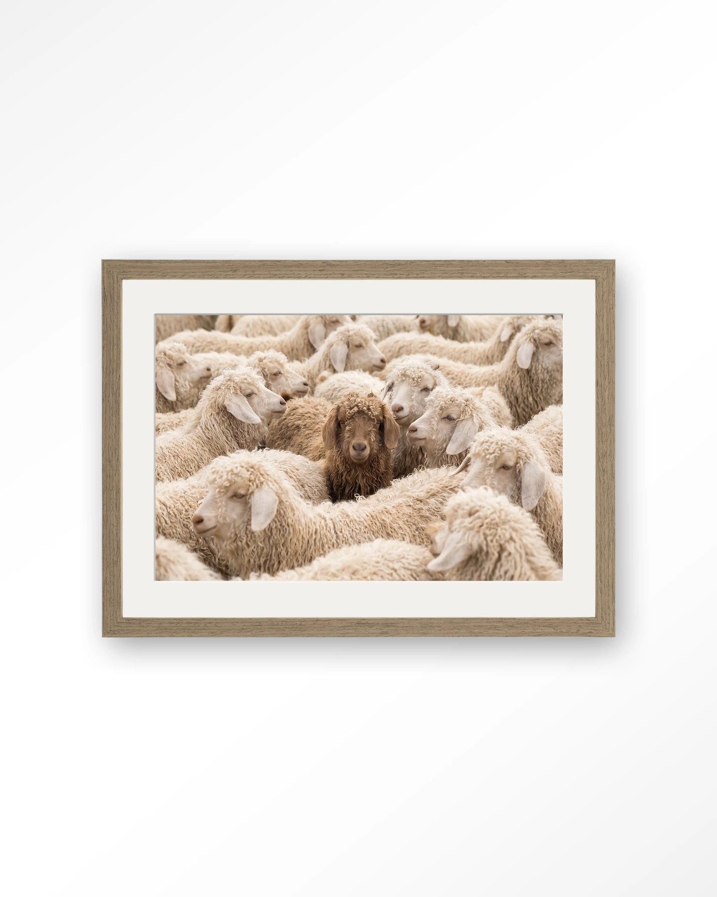 The Herd - Art print - Afbeelding 6