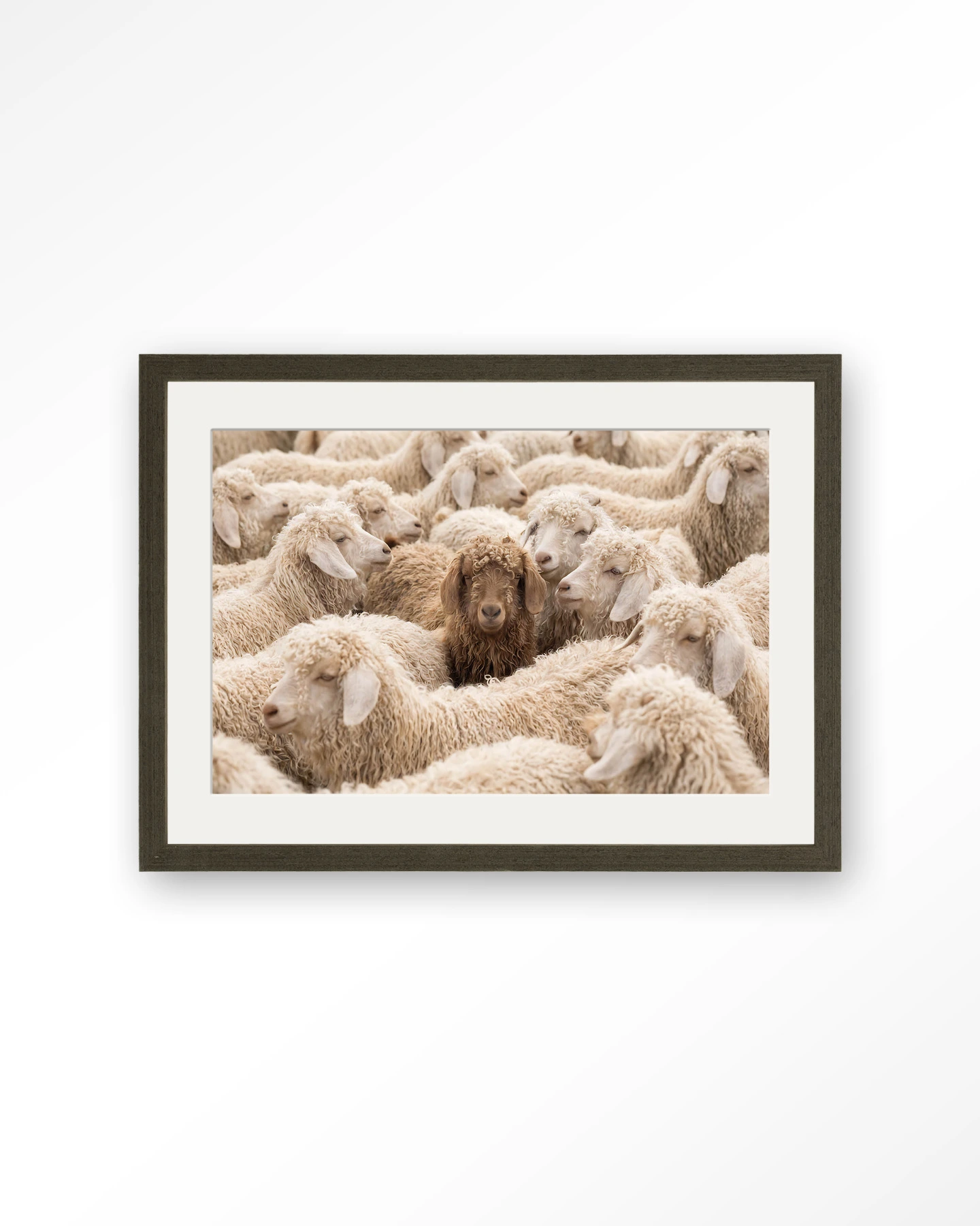 The Herd - Art print - Afbeelding 7