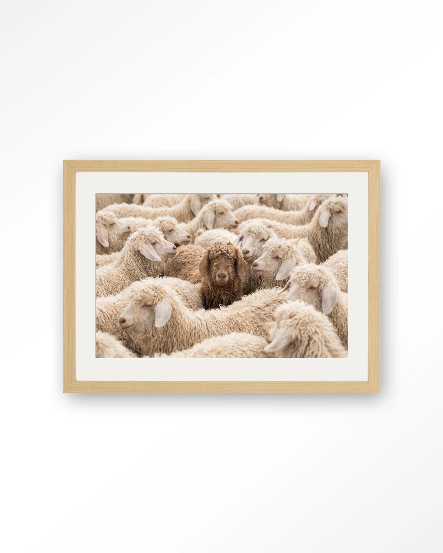 The Herd - Art print - Afbeelding 8