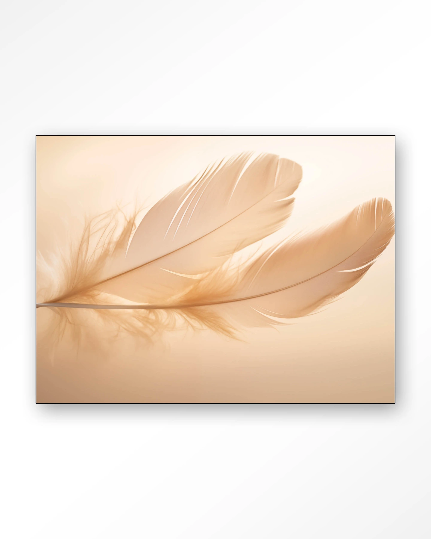 Light Feather - Wandkleed - Afbeelding 2