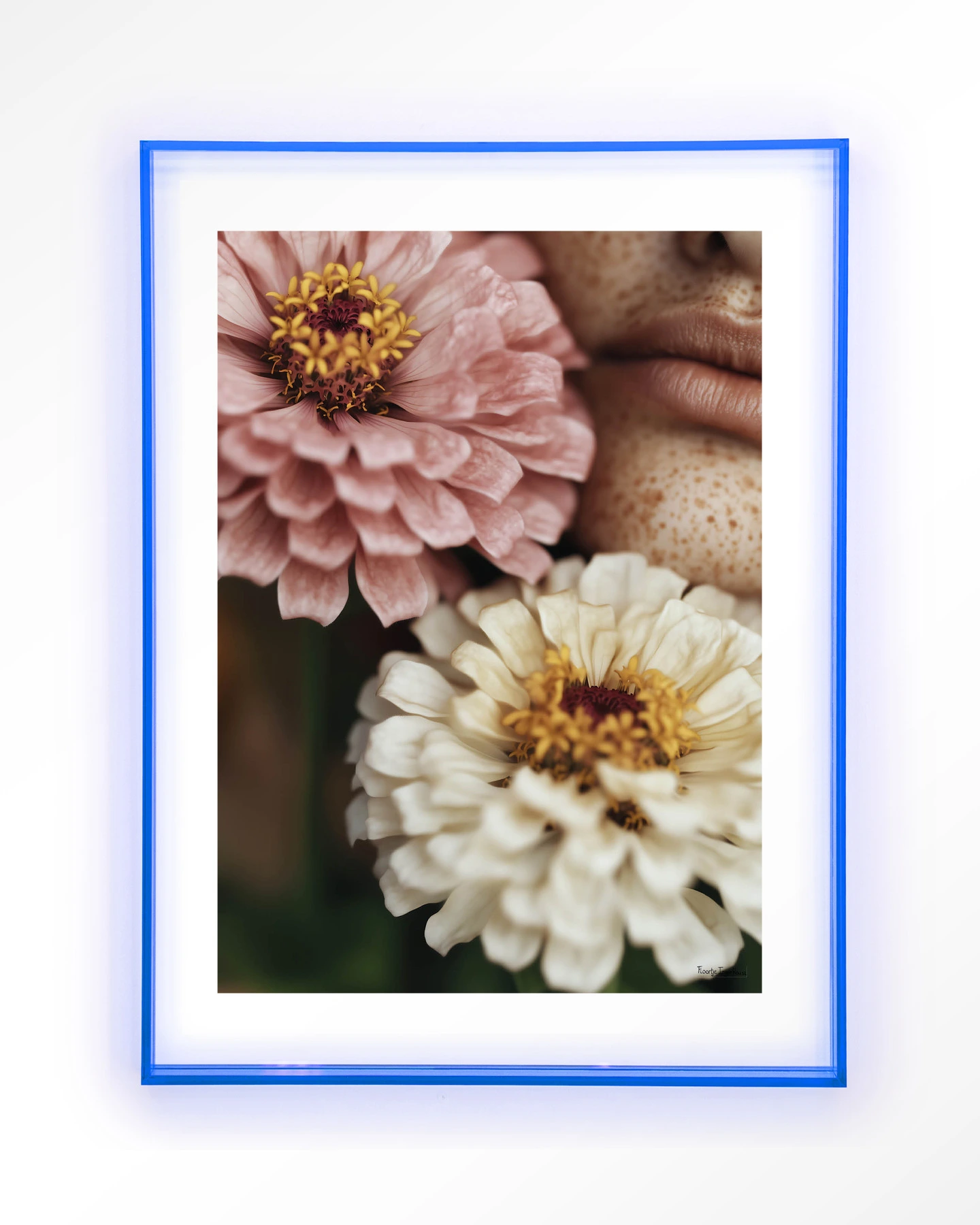 Zinnia - Art print - Afbeelding 12