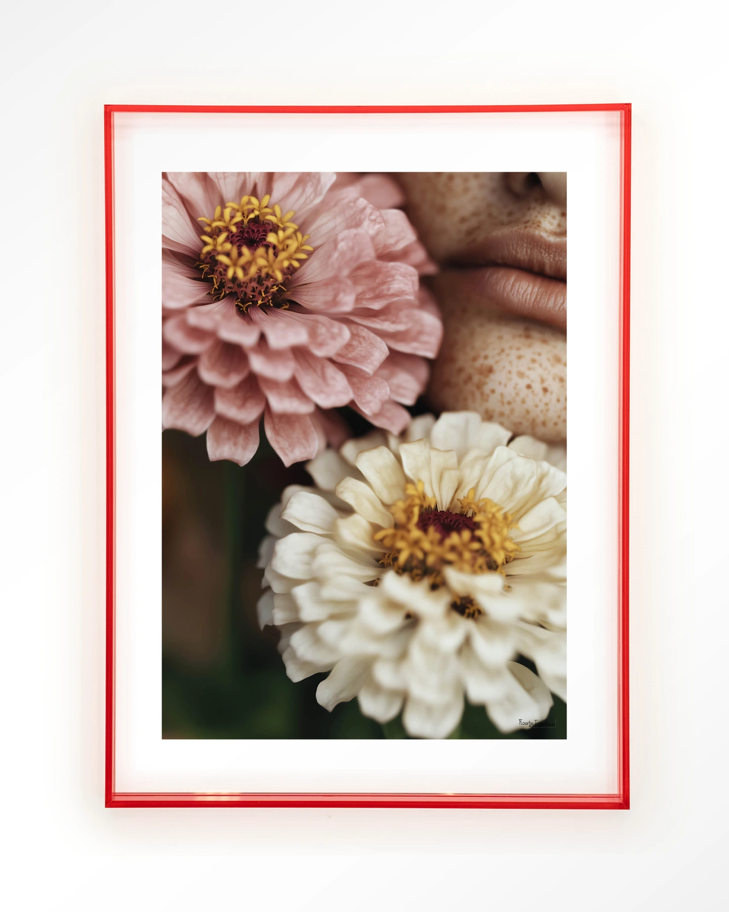 Zinnia - Art print - Afbeelding 11