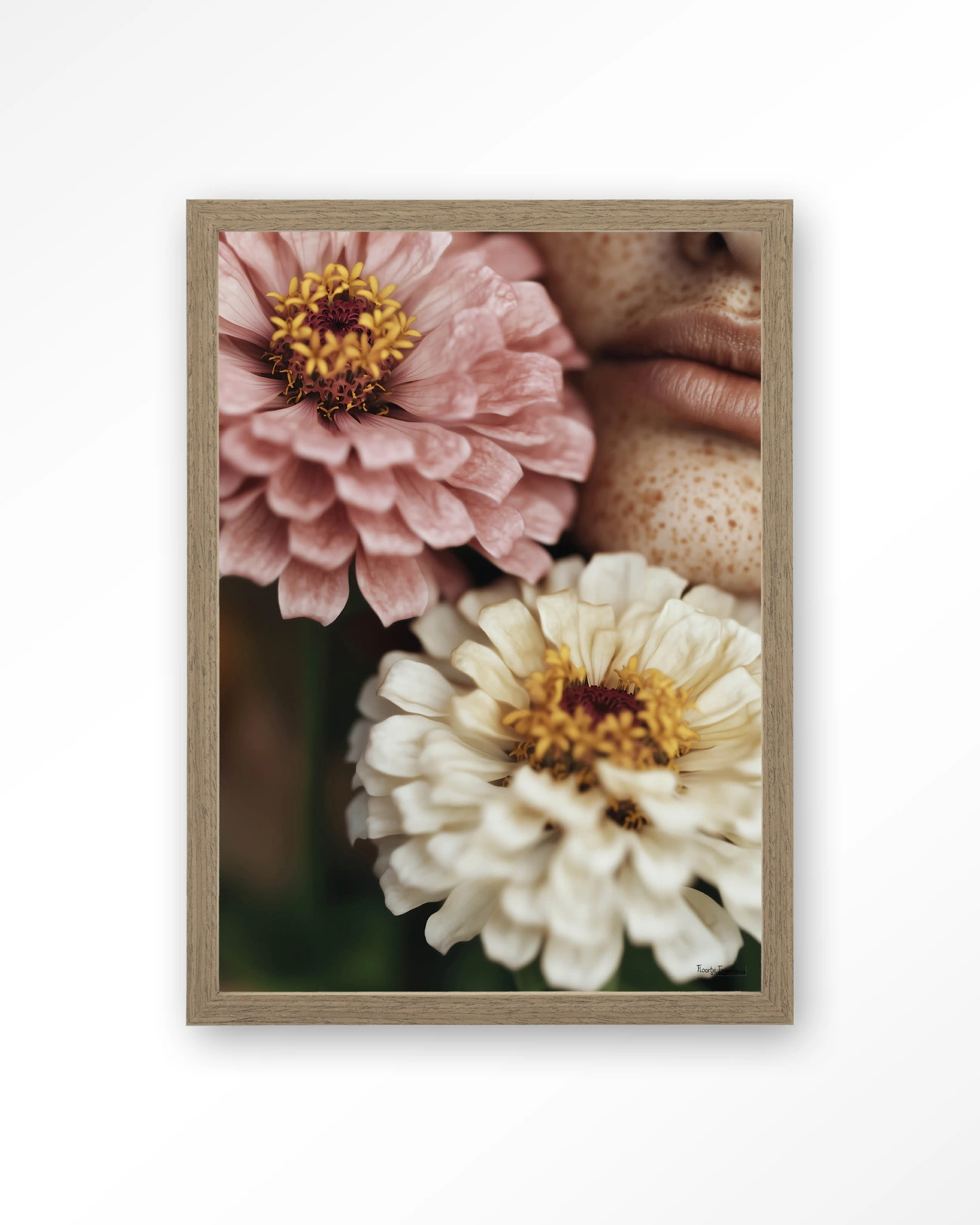 Zinnia - Art print - Afbeelding 3