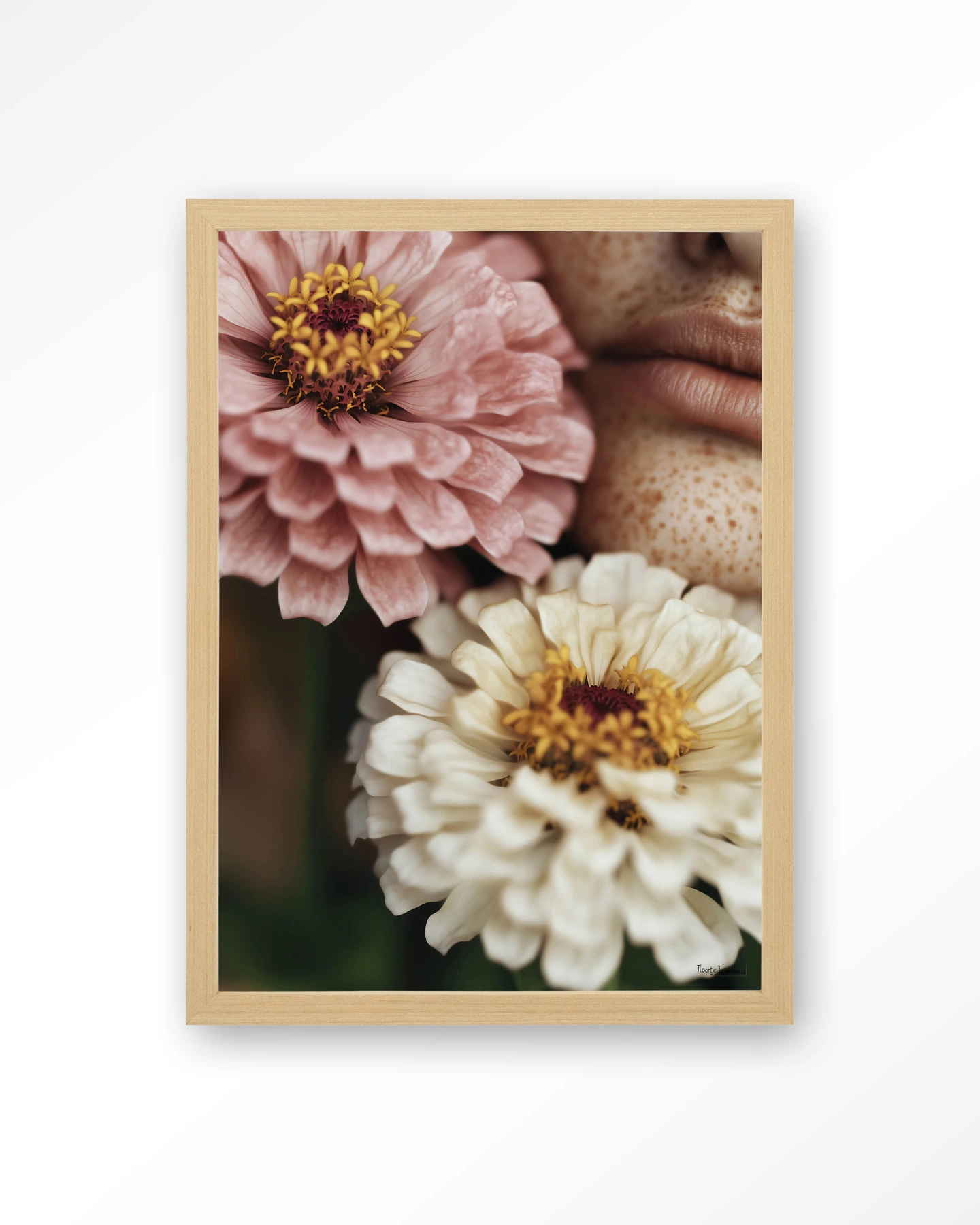 Zinnia - Art print