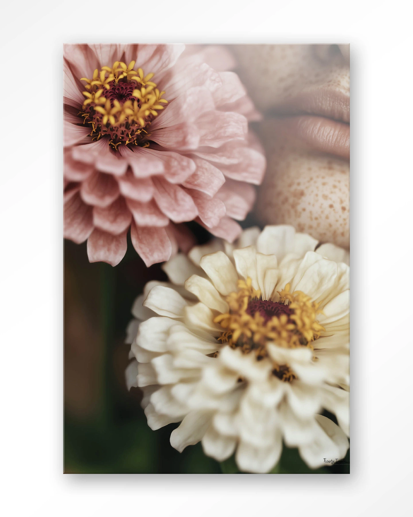 Zinnia - Glas - Afbeelding 2