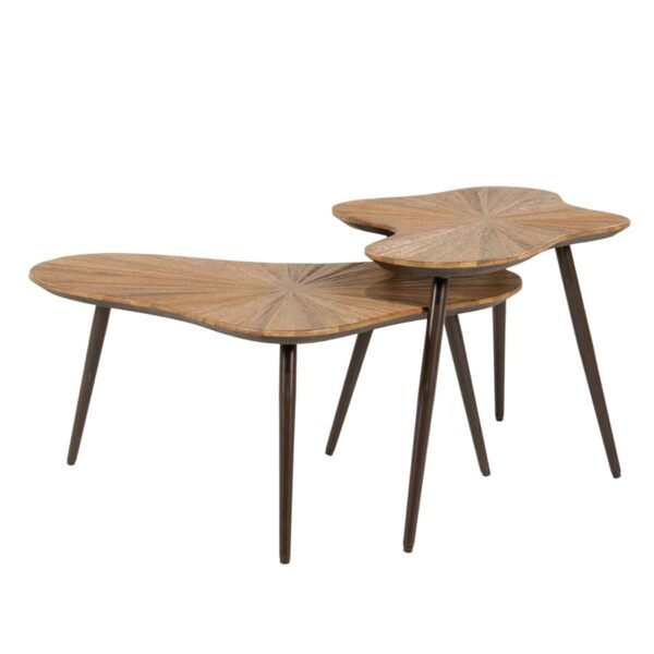 260155 Loma ( set of 2)