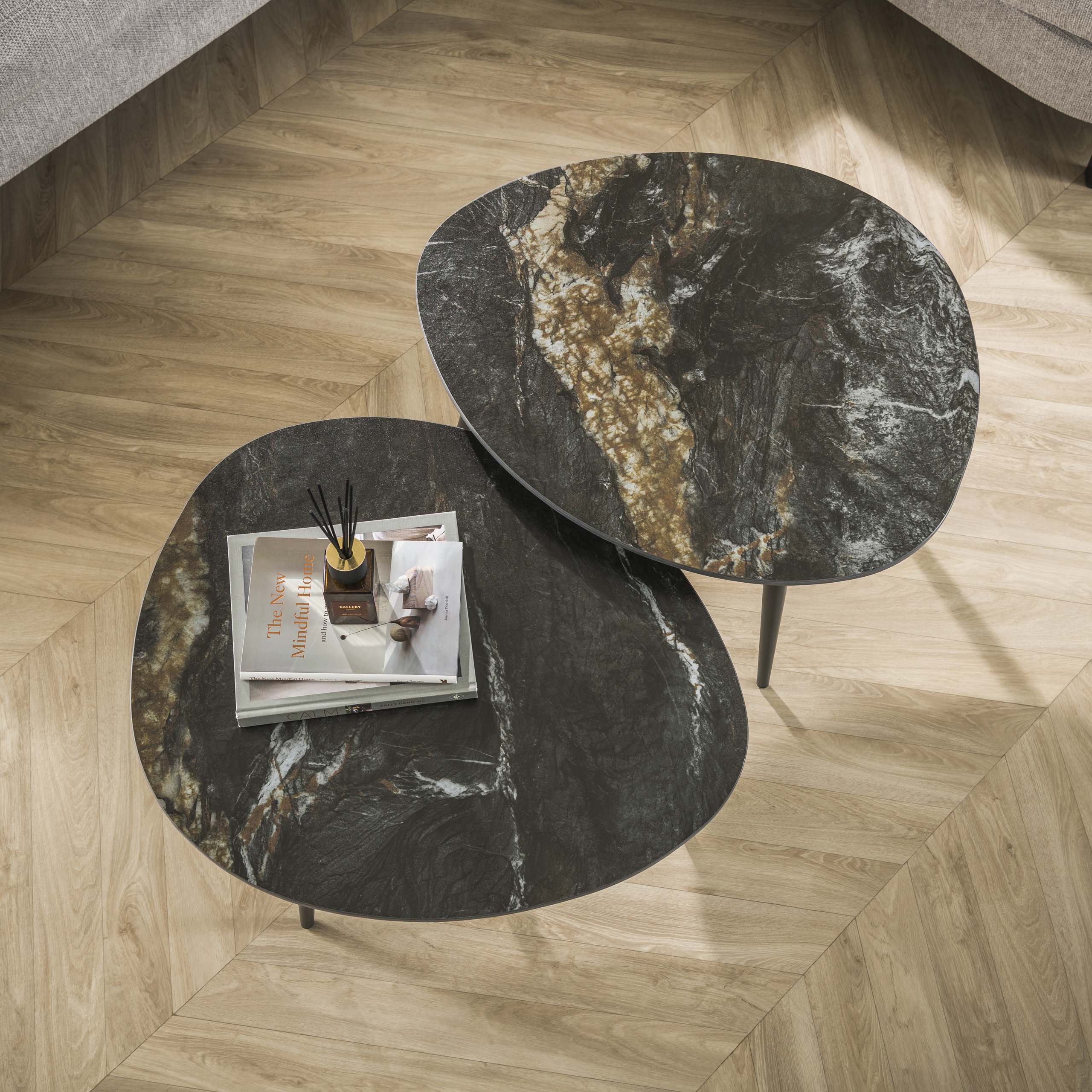 Salontafel Fossil organisch set/2