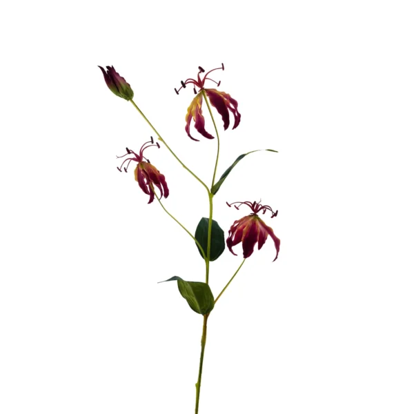 825010236 Gloriosa Lily Spray Orange - 82cm