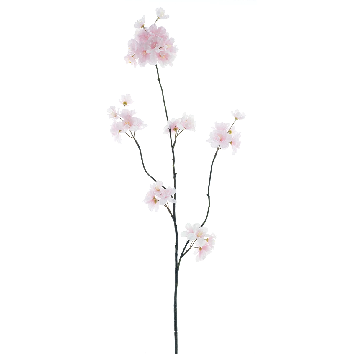 Prunus Malaga spray Pink - 84cm