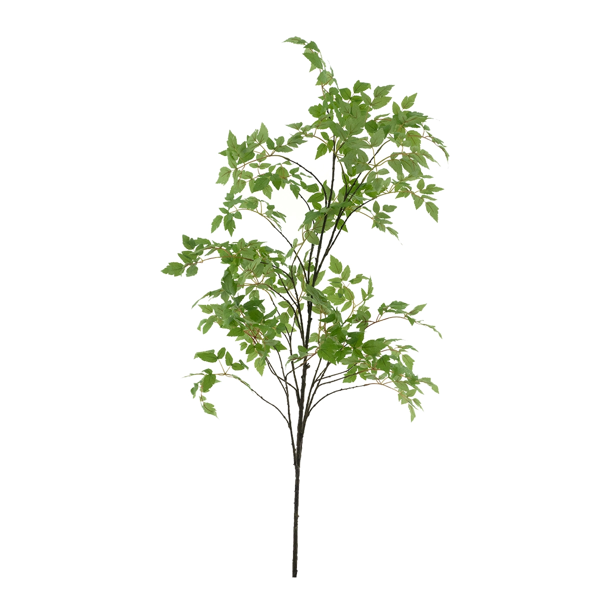 Birch tree - 196cm