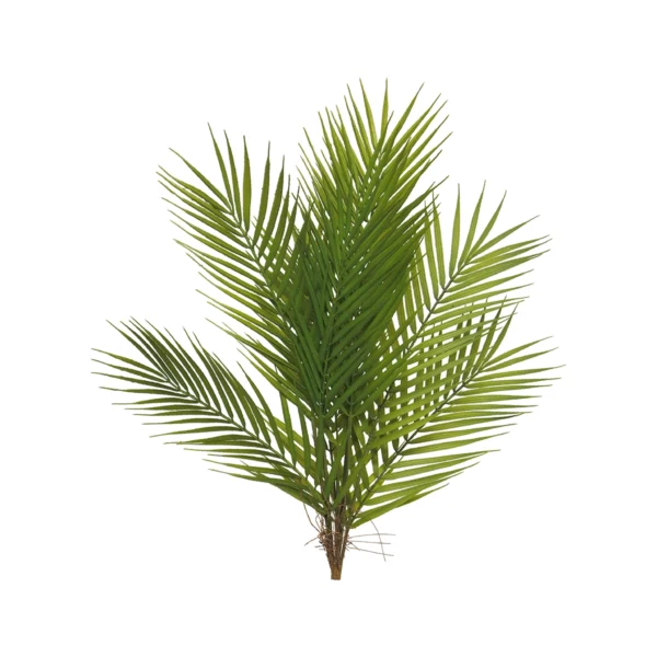 825010253 Areca Palm Bundle - 60cm