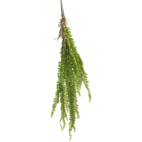 Boston fern bush - 88cm