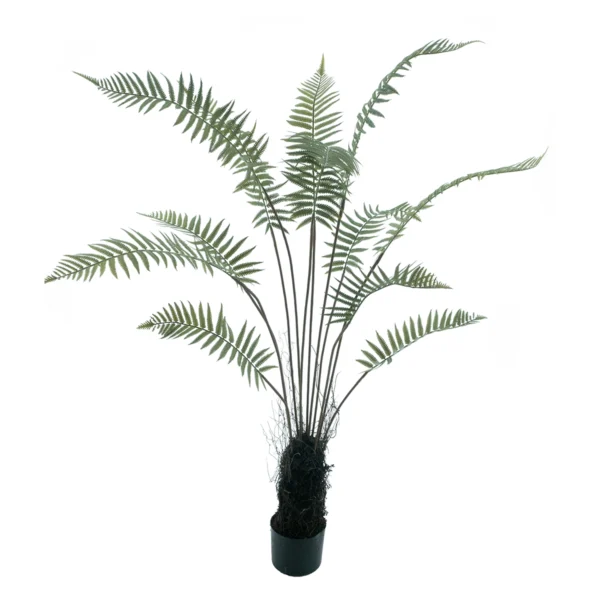 825010268 Fern tree - 150cm