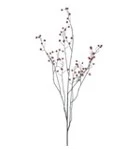 825020067 Rose hip branche red - 134 cm