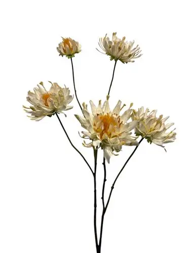 Dahlia spray 103 cm - Afbeelding 2