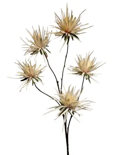 Spider spray 107 cm