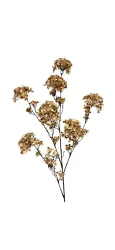 825020168 Hortensia spray 120 cm