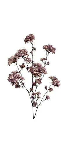 Hortensia spray 120 cm - Afbeelding 4