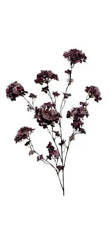 Hortensia spray 120 cm - Afbeelding 5