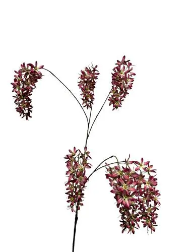 Wisteria 120 cm - light purple