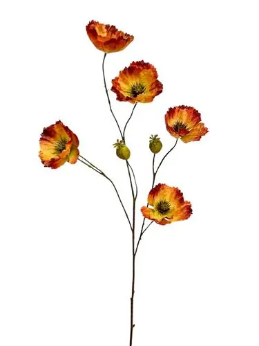 825020182 Poppy