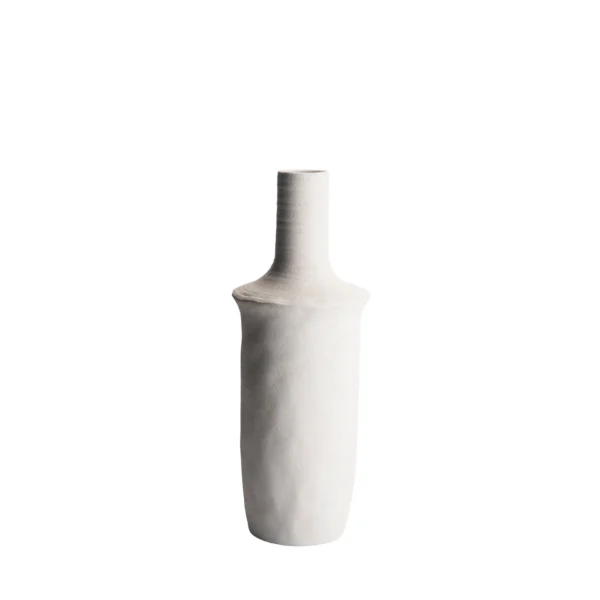 86053 Vaas Cacicus